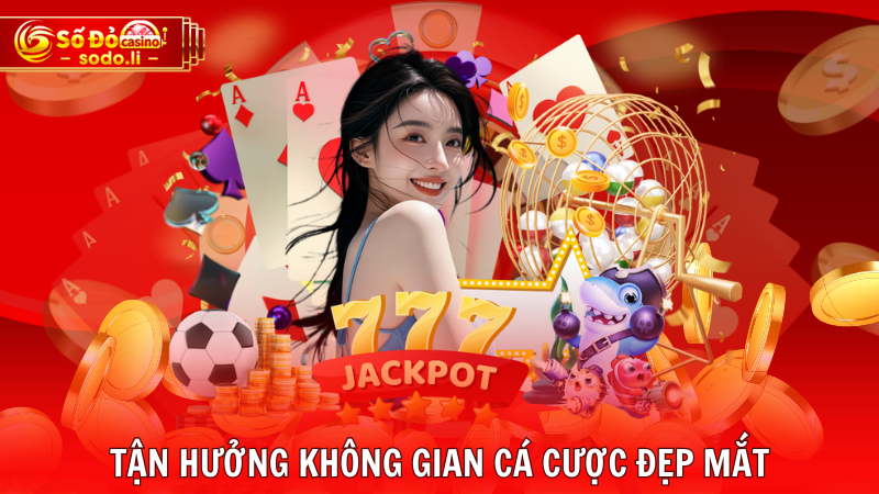 Tận hưởng không gian cá cược đẹp mắt