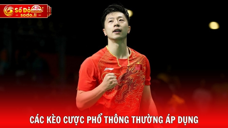 Các kèo cược phổ thông thường áp dụng Các kèo cược phổ thông thường áp dụng