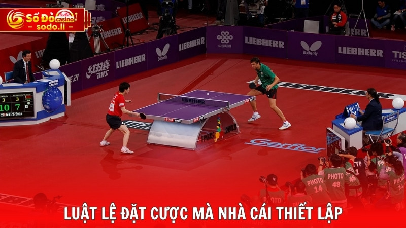 Luật lệ đặt cược mà nhà cái thiết lập Luật lệ đặt cược mà nhà cái thiết lập