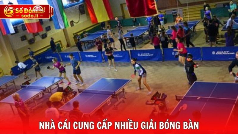 Nhà cái cung cấp nhiều giải bóng bàn Nhà cái cung cấp nhiều giải bóng bàn